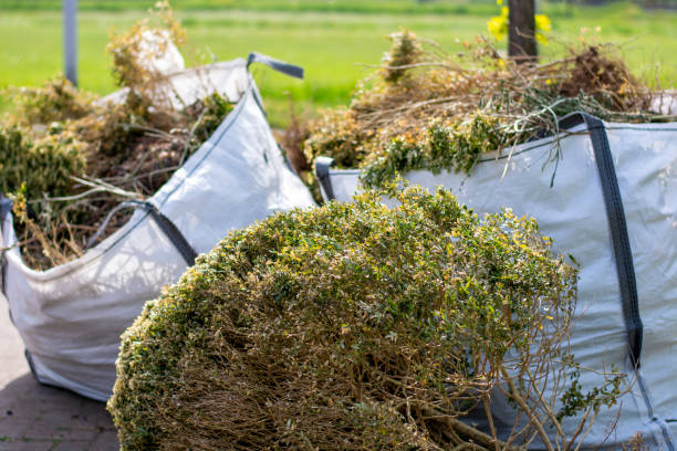 Best Moving and Downsizing Cleanouts  in Colmar Manor, MD